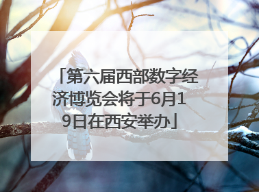 第六届西部数字经济博览会将于6月19日在西安举办
