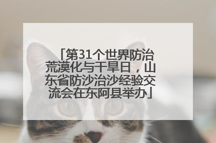 第31个世界防治荒漠化与干旱日，山东省防沙治沙经验交流会在东阿县举办