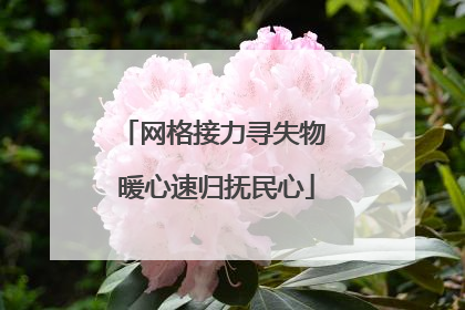 网格接力寻失物 暖心速归抚民心