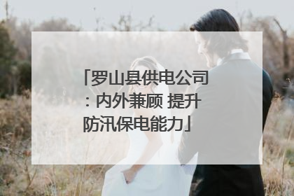 罗山县供电公司：内外兼顾 提升防汛保电能力