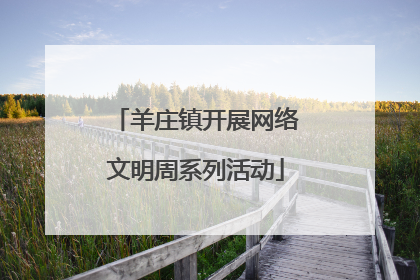 羊庄镇开展网络文明周系列活动