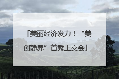 美丽经济发力！“美创静界”首秀上交会