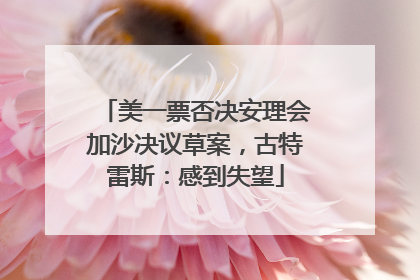 美一票否决安理会加沙决议草案，古特雷斯：感到失望