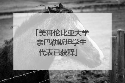 美哥伦比亚大学一亲巴勒斯坦学生代表已获释