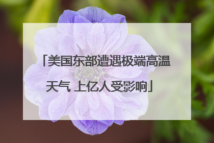 美国东部遭遇极端高温天气 上亿人受影响