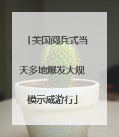美国阅兵式当天多地爆发大规模示威游行