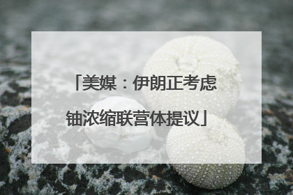 美媒：伊朗正考虑铀浓缩联营体提议