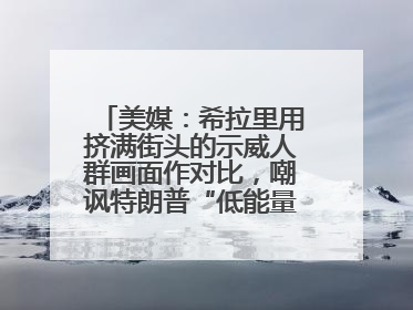 美媒：希拉里用挤满街头的示威人群画面作对比，嘲讽特朗普“低能量”阅兵式观众少