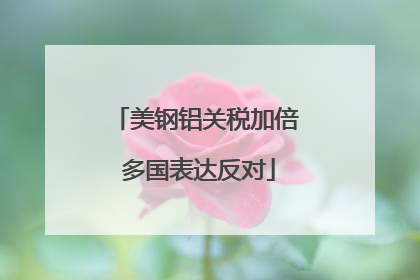美钢铝关税加倍 多国表达反对