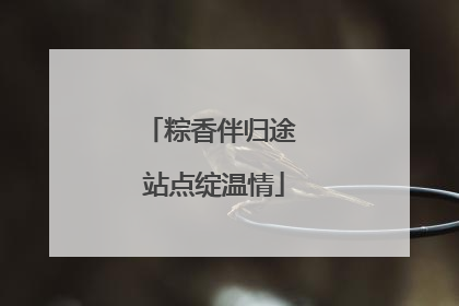 粽香伴归途 站点绽温情