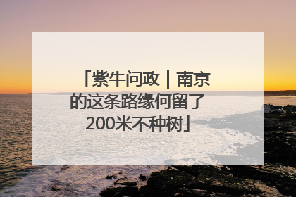 紫牛问政｜南京的这条路缘何留了200米不种树