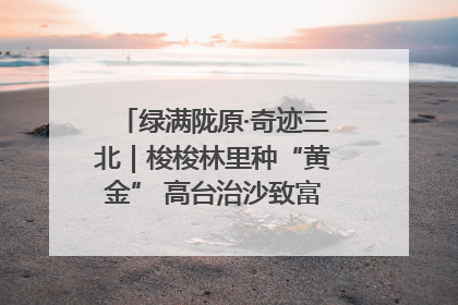 绿满陇原·奇迹三北｜梭梭林里种“黄金” 高台治沙致富很“从容”