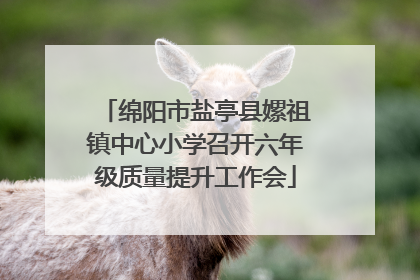 绵阳市盐亭县嫘祖镇中心小学召开六年级质量提升工作会