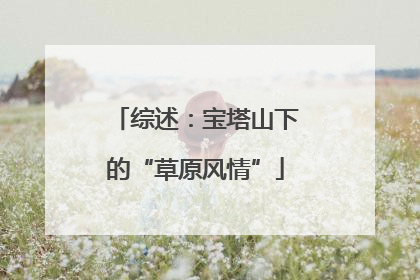 综述：宝塔山下的“草原风情”