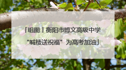 组图丨衡阳市博文高级中学“喊楼送祝福”为高考加油
