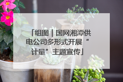 组图｜国网湘潭供电公司多形式开展“计量”主题宣传