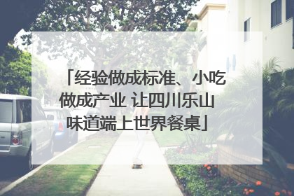 经验做成标准、小吃做成产业 让四川乐山味道端上世界餐桌