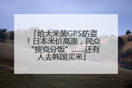 给大米装GPS防盗！日本米价高涨，民众“按克分饭”……还有人去韩国买米