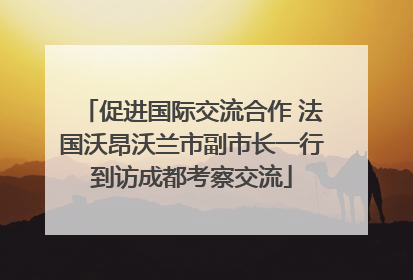 促进国际交流合作 法国沃昂沃兰市副市长一行到访成都考察交流