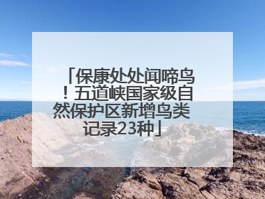 保康处处闻啼鸟！五道峡国家级自然保护区新增鸟类记录23种