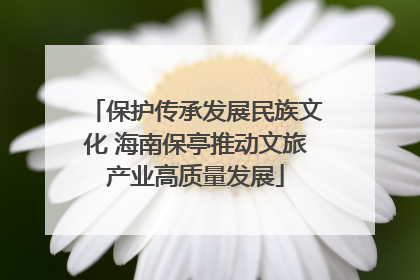 保护传承发展民族文化 海南保亭推动文旅产业高质量发展