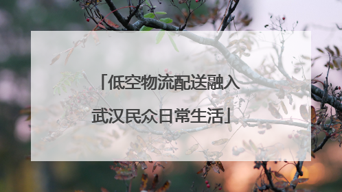 低空物流配送融入武汉民众日常生活