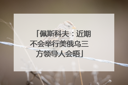 佩斯科夫：近期不会举行美俄乌三方领导人会晤