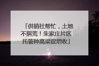 供销社帮忙，土地不撂荒！朱家庄片区托管种高粱促增收