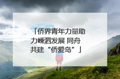 侨界青年力量助力嵊泗发展 同舟共建“侨爱岛”