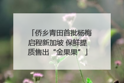 侨乡青田首批杨梅启程新加坡 保鲜提质售出“金果果”
