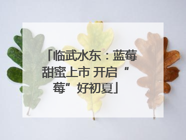 临武水东：蓝莓甜蜜上市 开启“莓”好初夏