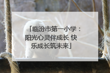 临汾市第一小学：阳光心灵伴成长 快乐成长筑未来