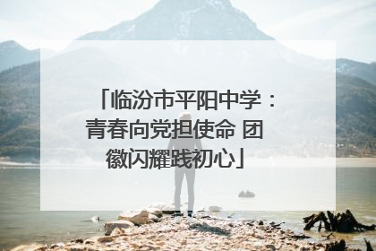 临汾市平阳中学：青春向党担使命 团徽闪耀践初心