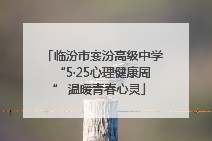 临汾市襄汾高级中学“5·25心理健康周” 温暖青春心灵