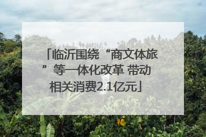临沂围绕“商文体旅”等一体化改革 带动相关消费2.1亿元