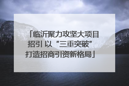 临沂聚力攻坚大项目招引 以“三重突破”打造招商引资新格局