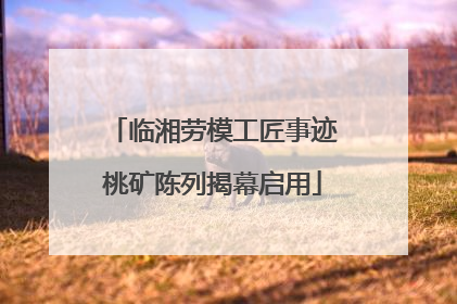 临湘劳模工匠事迹桃矿陈列揭幕启用
