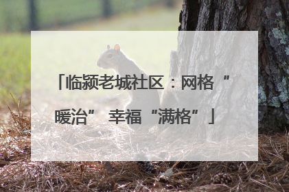 临颍老城社区：网格“暖治” 幸福“满格”