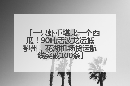一只虾重堪比一个西瓜！90吨活波龙运抵鄂州，花湖机场货运航线突破100条