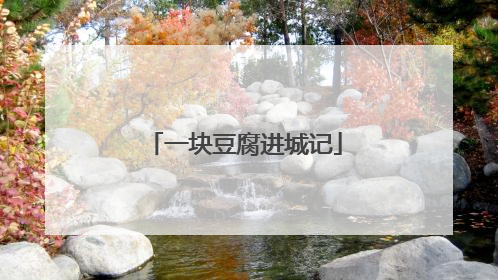 一块豆腐进城记