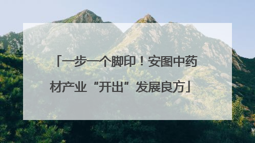 一步一个脚印！安图中药材产业“开出”发展良方