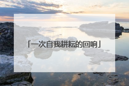 一次自我耕耘的回响