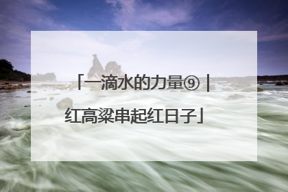 一滴水的力量⑨｜红高粱串起红日子