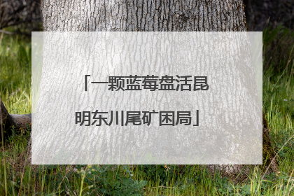一颗蓝莓盘活昆明东川尾矿困局