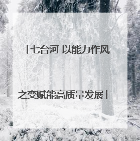 七台河 以能力作风之变赋能高质量发展