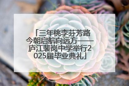 三年桃李芬芳路 今朝启航向远方——庐江裴岗中学举行2025届毕业典礼