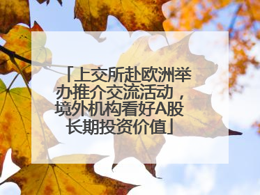 上交所赴欧洲举办推介交流活动，境外机构看好A股长期投资价值