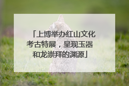 上博举办红山文化考古特展，呈现玉器和龙崇拜的渊源