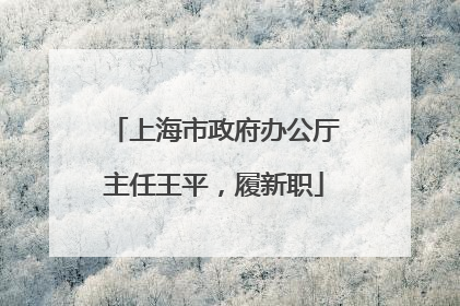 上海市政府办公厅主任王平，履新职
