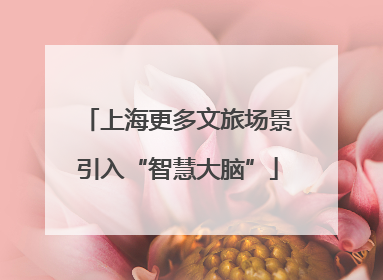 上海更多文旅场景引入“智慧大脑”